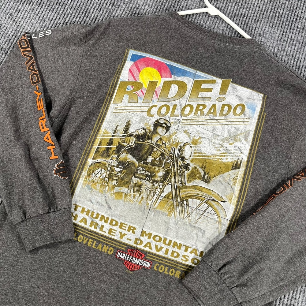Harley Davidson Shirt Mens Large Gray Long Sleeve Crew Graphic Motorcycles Ride